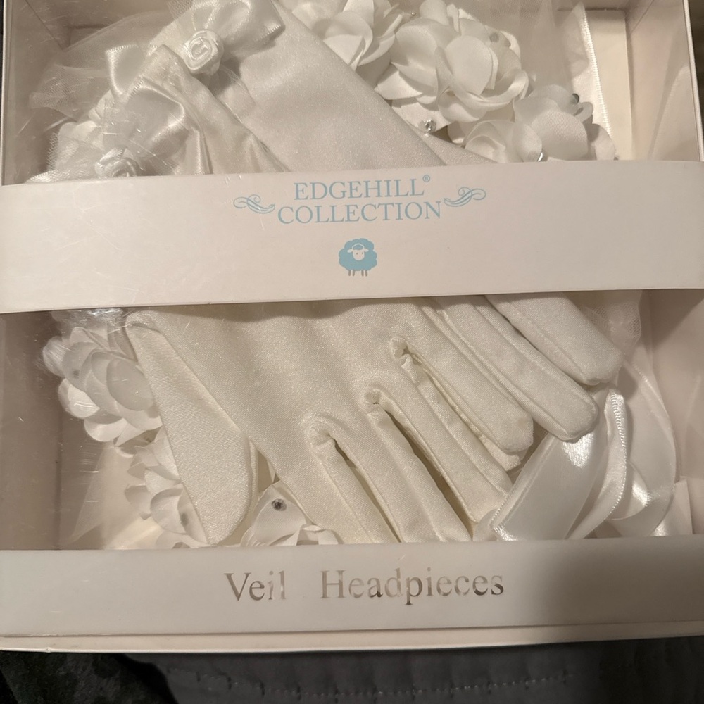 Edgehill Collection Ivory Gloves and Veil Set